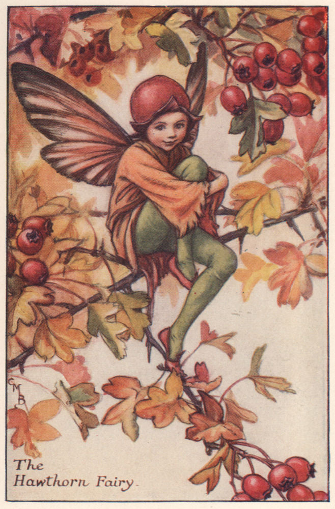 Hawthorn Fairy by Cicely Mary Barker. Autumn Flower Fairies c1935 old print
